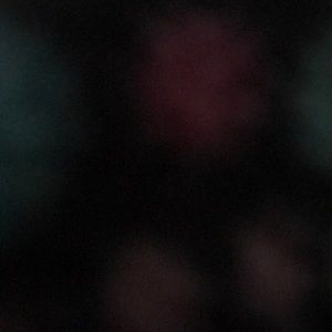 Meet your Posher, Abbye